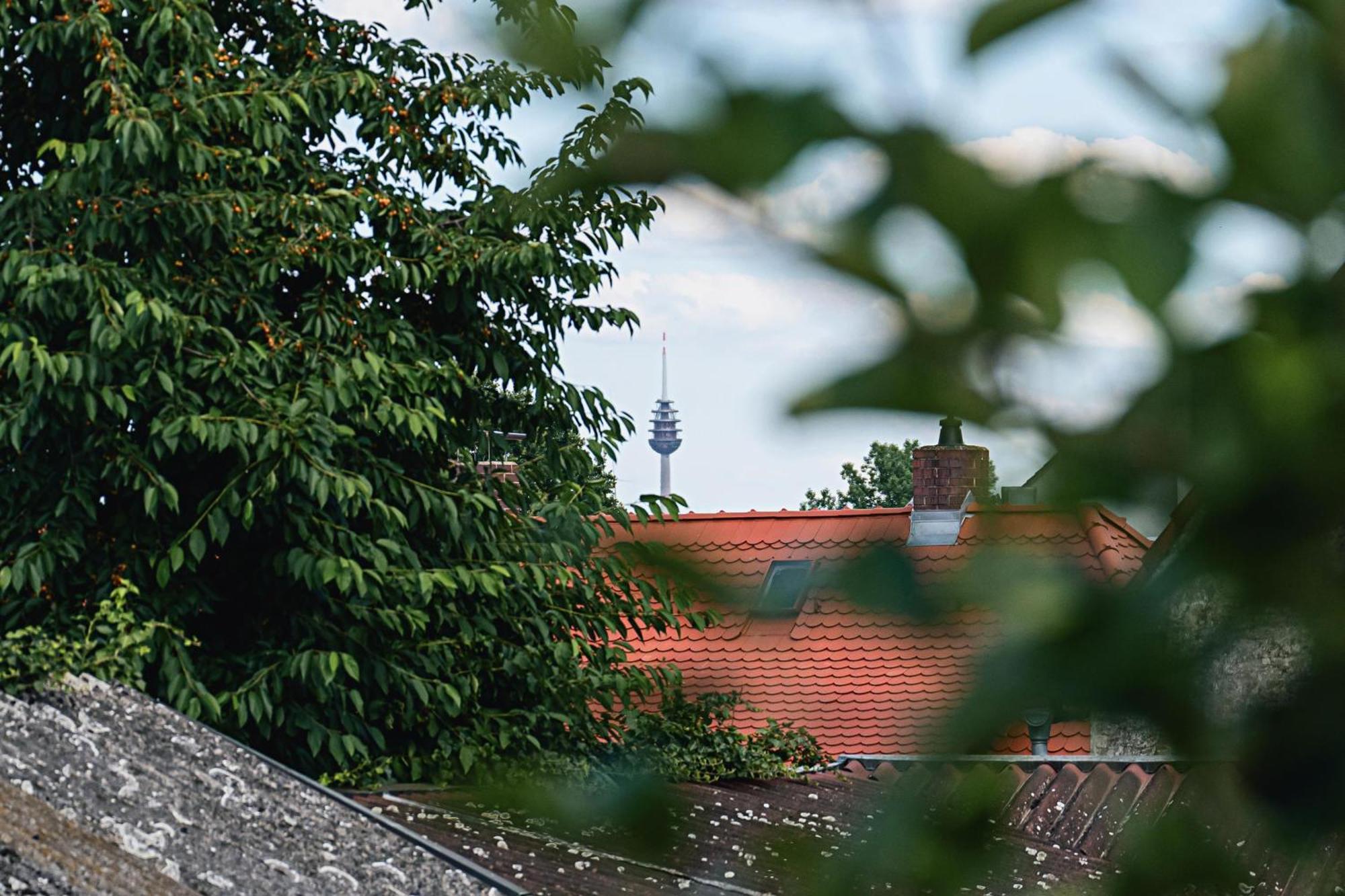 Ferienwohnung Schleicher Mit Klimaanlage Цирндорф Экстерьер фото